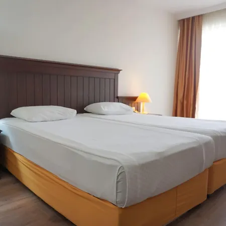 فندق بالم دور 4*