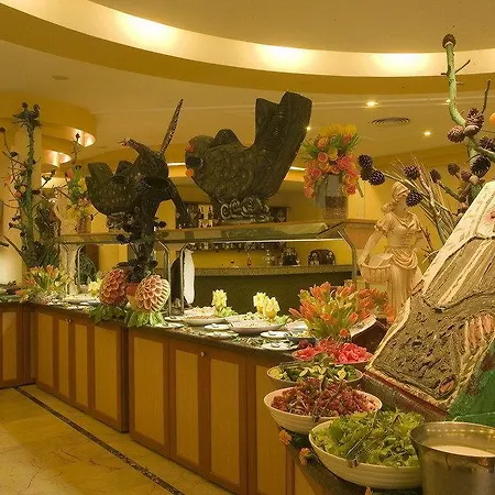 Palm D'or Hotell Side